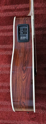 Breedlove Stage Exotic Cocobolo Acoustic Guitar