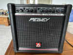 Peavey Blazer 158 TRANSTUBE Series 15W Guitar Amplifier