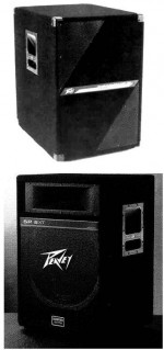 CHURCHES - PEAVEY SCORPION MAINS & PEAVEY BASS SPEAKERS