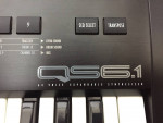 Alesis QS 6.1 Synthesizer