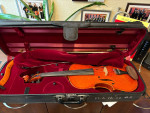 #5 Viola - Size 16.5"