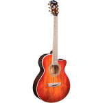 Washburn Koa Festival Acoustic-Electric Guitar Brand New