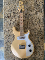 Gold Tone 5 String Electric Mandolin