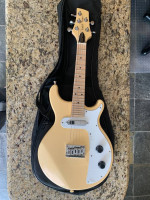Gold Tone 5 String Electric Mandolin