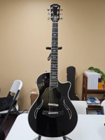Taylor Guitar - T5Z Pro-Black Cherry