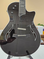 Taylor Guitar - T5Z Pro-Black Cherry
