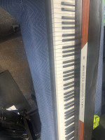 Korg model SP 250