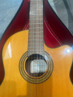 Takamine classical guitar nylon strings