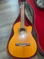 Takamine classical guitar nylon strings