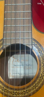 Takamine classical guitar nylon strings