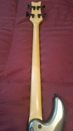 SCHECTER BASS WITH AMP