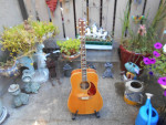 Rare Segovia SD-507 N , top of the line 6 String Acoustic Guitar
