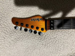 Schecter Super Shredder
