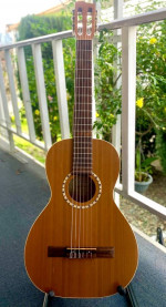 Godin Acoustic Parlor Nylon String Classical Guitar