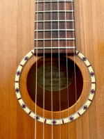 Godin Acoustic Parlor Nylon String Classical Guitar