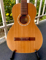 Godin Acoustic Parlor Nylon String Classical Guitar