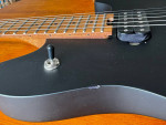 EVH Wolfgang Standard FS/FT
