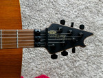 EVH Wolfgang Standard FS/FT