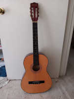 Acoustic Guitar