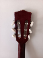 Acoustic Guitar