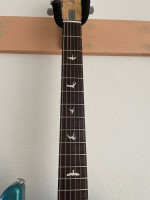 FS New 2019 PRS Silver Sky Core
