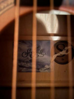 Seagull s6 guitar, trade?