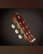 Alhambra 7FC Blanca Flamenco Guitar (2023-24)