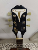 Epiphone made by Gibson Acoustic Guitar