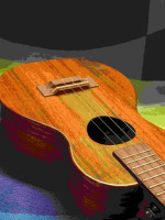 Koaloha KCM-00