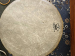 Remo Djembe 12" Drum