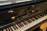 Yamaha Digital Piano NU1X