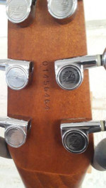 Seagull S-6 Acoustic Guitar