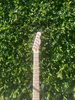Custom Telecaster Parts Guitar