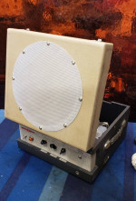 Custom Built Vintage Vacuum Tube Guitar Amplifier & Speaker Combo 6L6