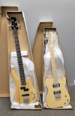 Closing A Business. Many DIY Guitar Kits, Only $100 Each, Any Model.
