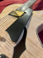 Eastman Jazz Elite Carved Semi Hollow Guitar
