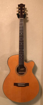 Acoustic guitar
