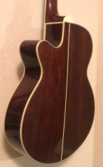 Acoustic guitar