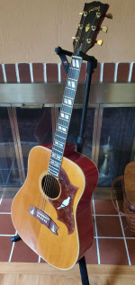 1976 Gibson Dove, will need work