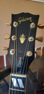 1976 Gibson Dove, will need work