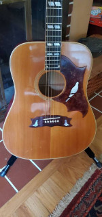 1976 Gibson Dove, will need work