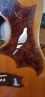 1976 Gibson Dove, will need work