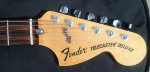 Fender Foo Fighters Chris Shiflett Signature Telecaster Deluxe