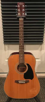 Acoustic guitars