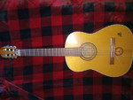 Vintage guitars