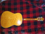 Vintage guitars