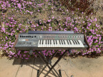 ARP Pro/DGX (Pro Soloist) Synthesizer Pro Serviced
