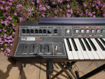 ARP Pro/DGX (Pro Soloist) Synthesizer Pro Serviced