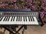 ARP Pro/DGX (Pro Soloist) Synthesizer Pro Serviced