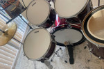 Drum Acoustic Complete Upgraded Set w/ Stands Cymbals Evans Heads Etc